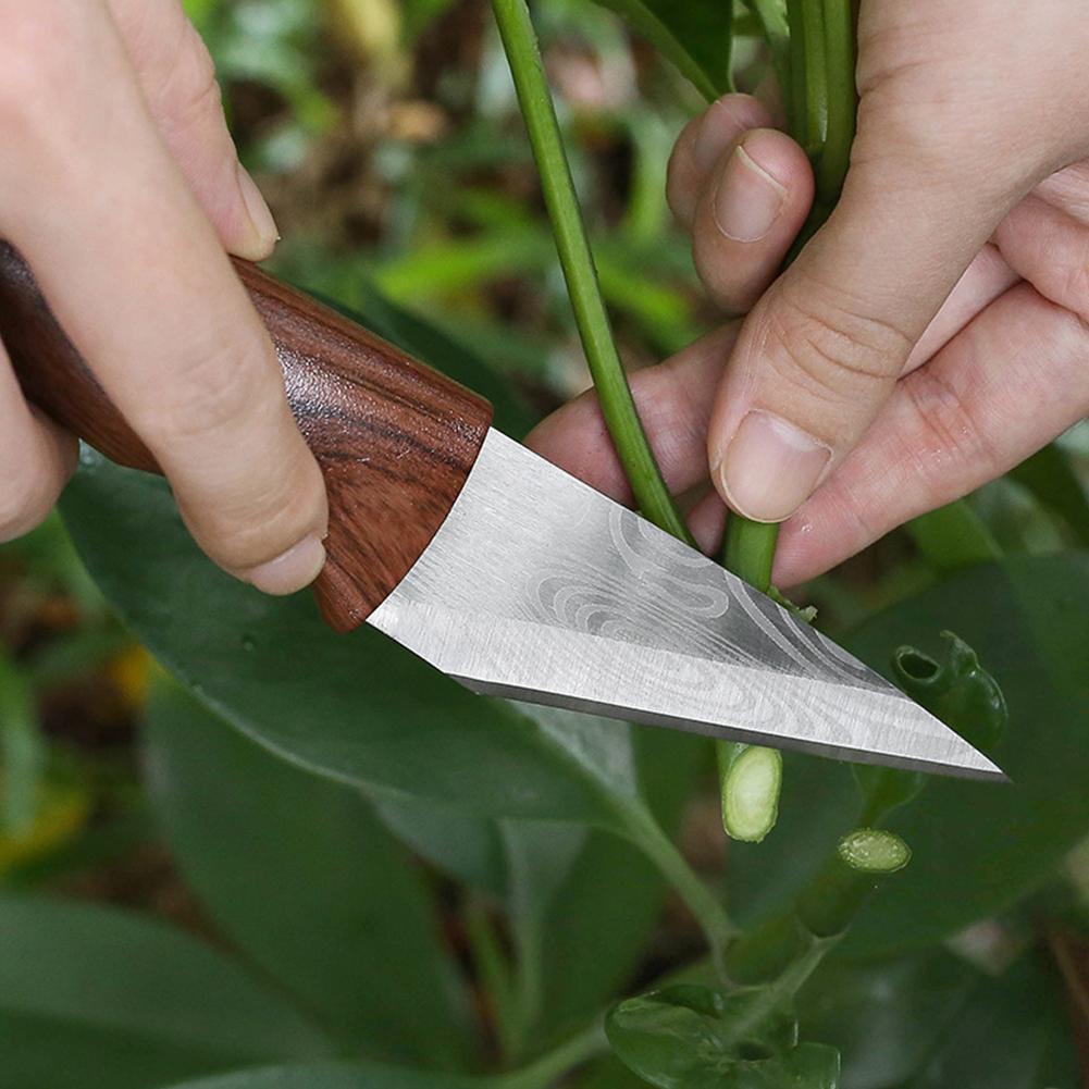 Multi-Functional Sharp Handhel - đánh giá và giá Gardening Tools Knife