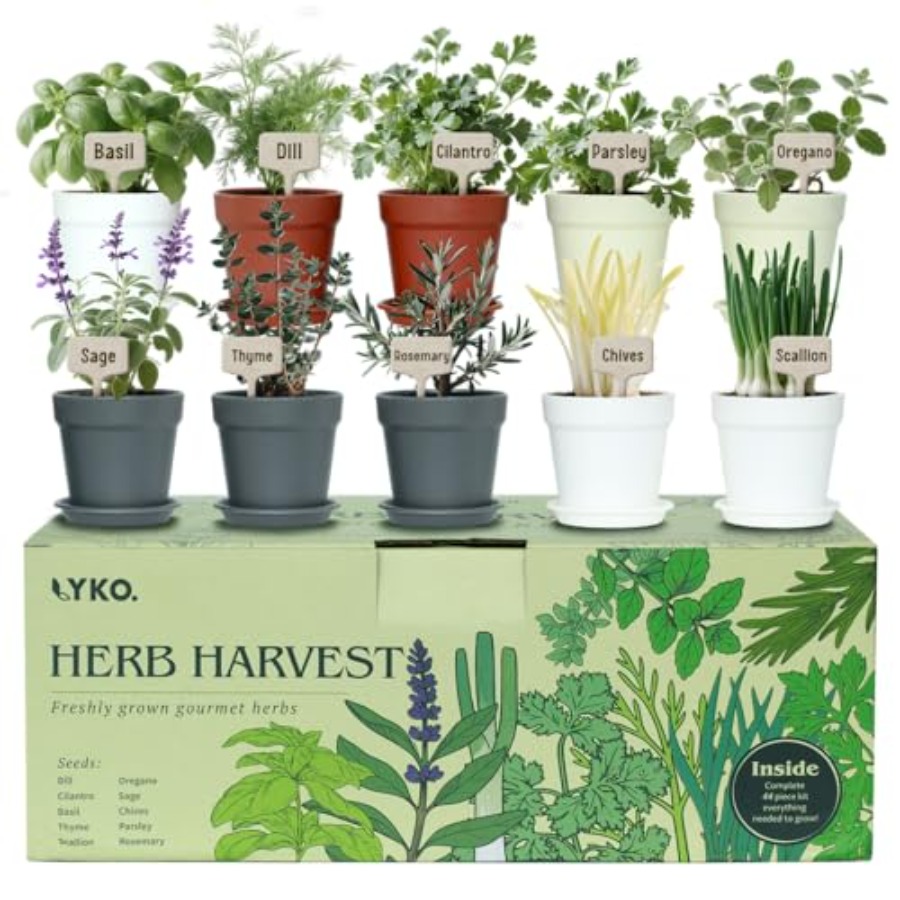 10 Indoor Herb Garden Kit 33pc - đánh giá và giá Gardening Tools Gift Ideas