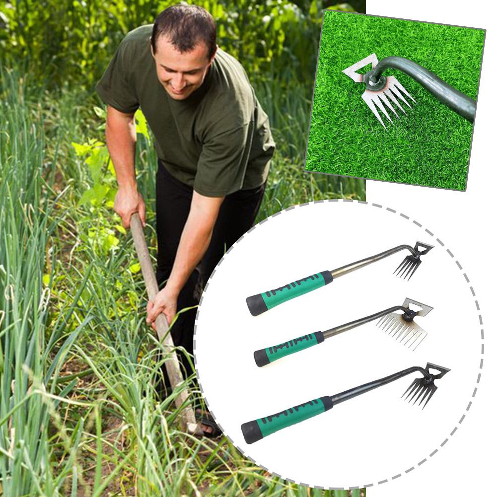 2 In 1 Garden Rake Manual Weed - đánh giá và giá Gardening Tools To Remove Grass