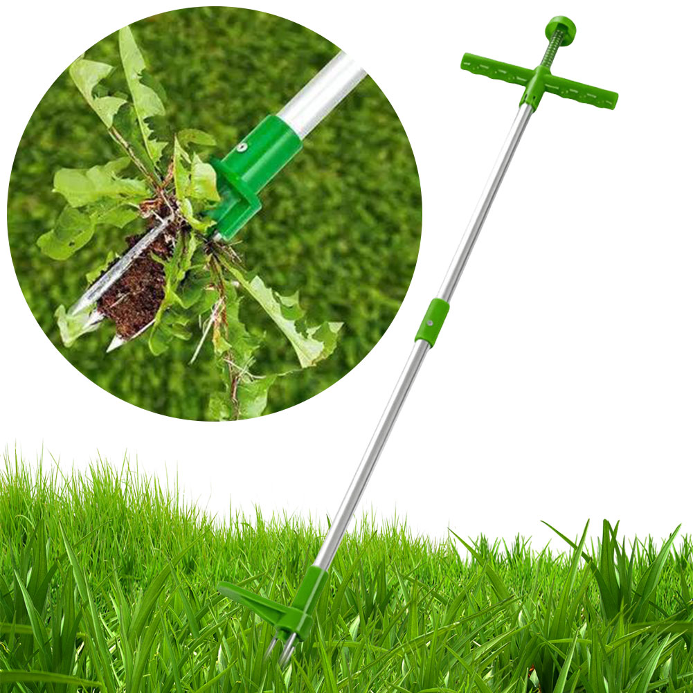 Stand Up Weeder Root Removal T - đánh giá và giá Gardening Tools To Remove Grass