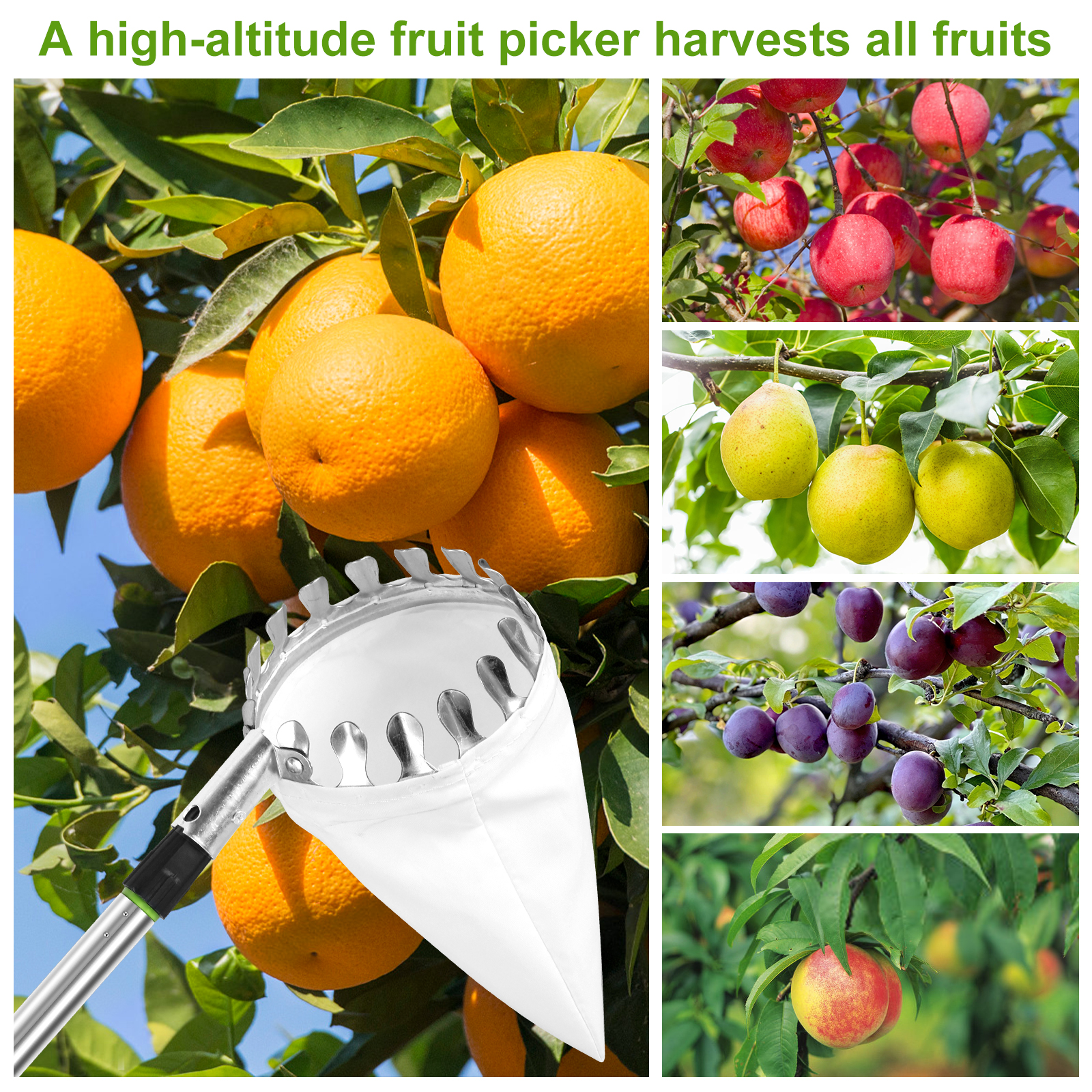 Deep Basket Fruit Picker Catch - đánh giá và giá Gardening Tools Knife