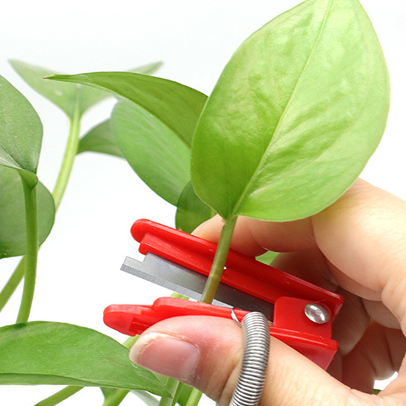 Fruit Vegetable Picking Tool;  - đánh giá và giá Gardening Tools Knife