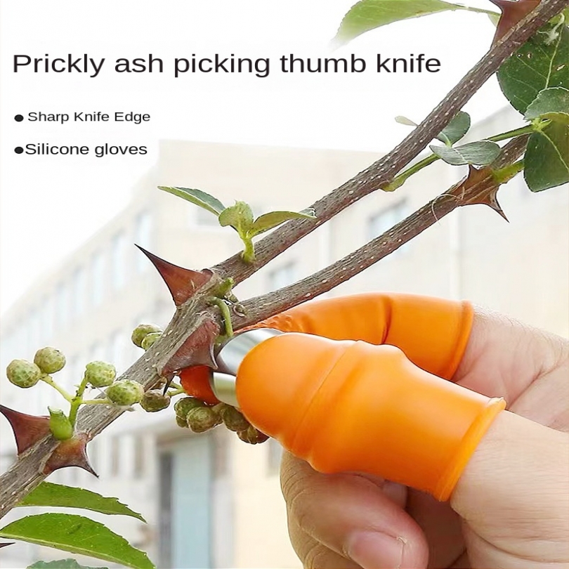 6pcs Steel Thumb Cutter Knife  - đánh giá và giá Gardening Tools Knife