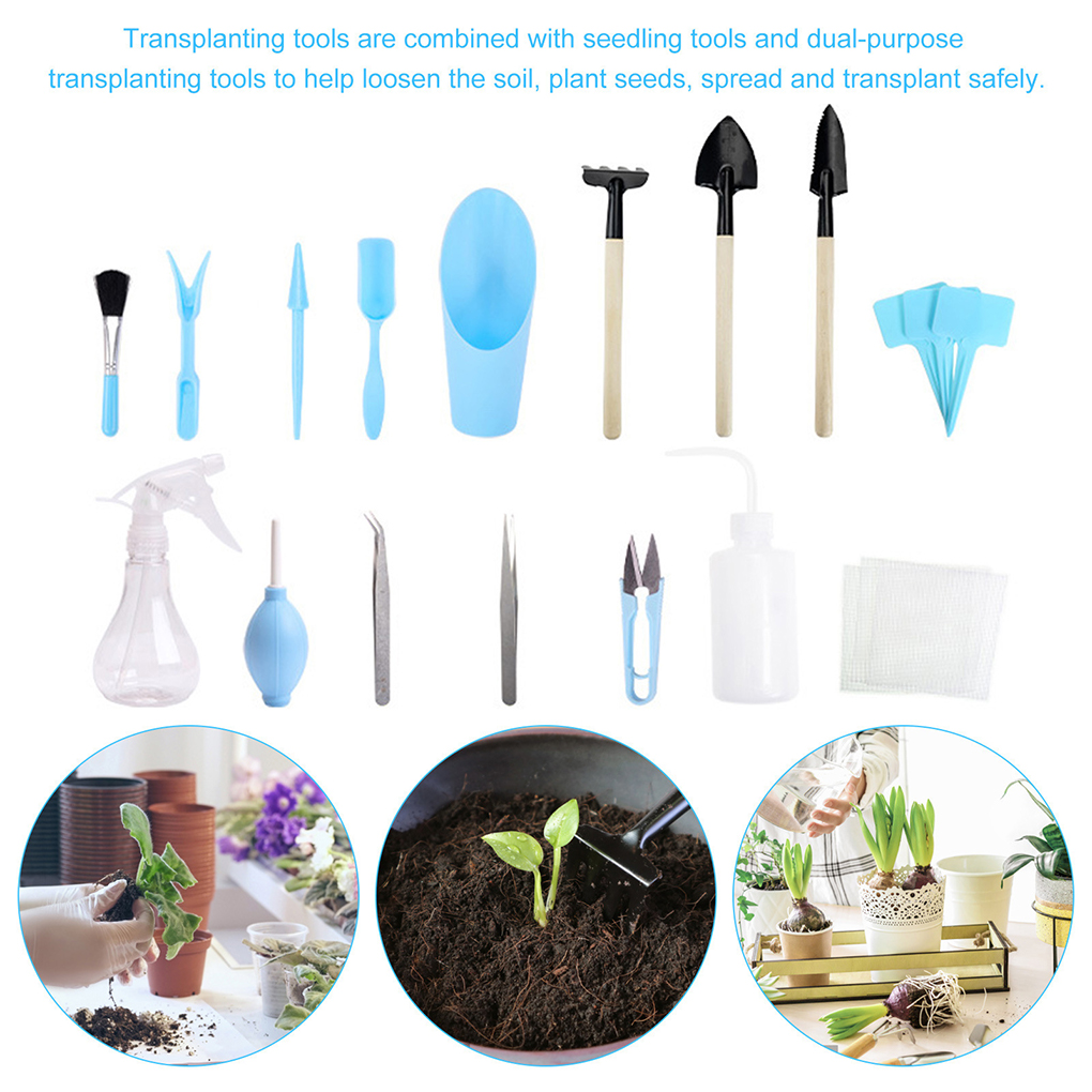 Easy To Clean Garden Succulent - đánh giá và giá Gardening Tools Pink