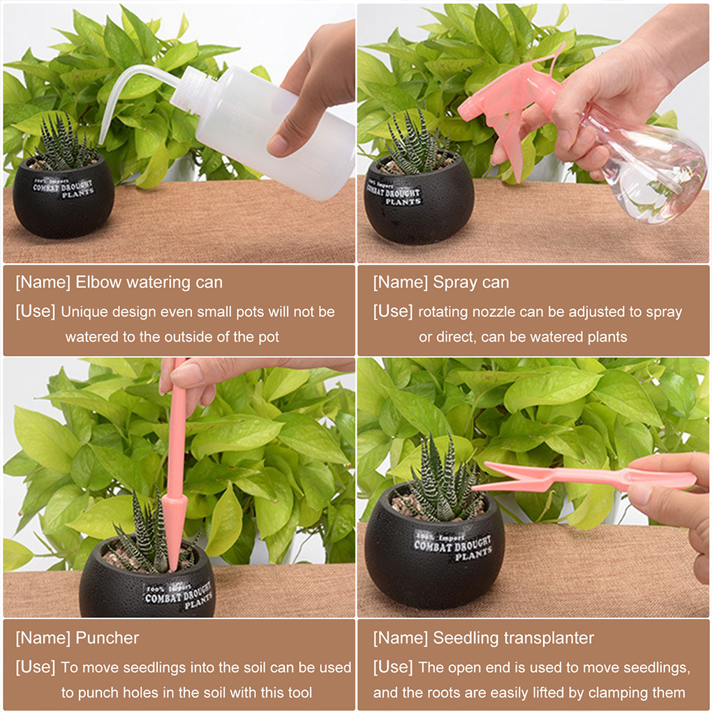 Easy To Clean Garden Succulent - đánh giá và giá Gardening Tools Pink
