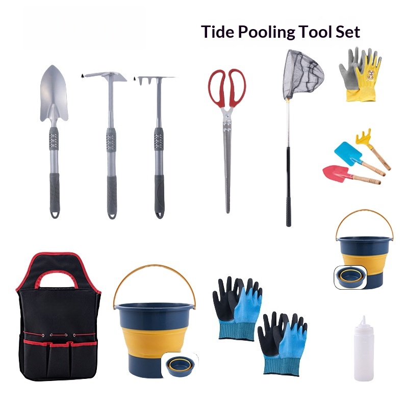 Garden Tool Combination Set, D - đánh giá và giá Gardening Tools Target