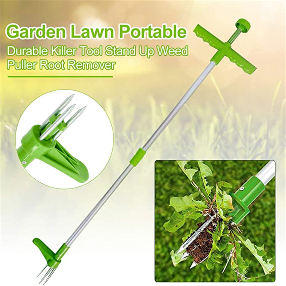 Easily Carrying Weed Remover G - đánh giá và giá Gardening Tools To Remove Grass