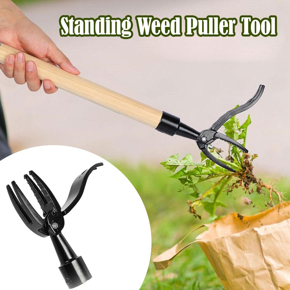 Weed Puller Claw Tool Engineer - đánh giá và giá Gardening Tools To Remove Grass