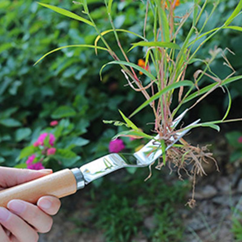 Grass Remover Multifunctional  - đánh giá và giá Gardening Tools To Remove Grass