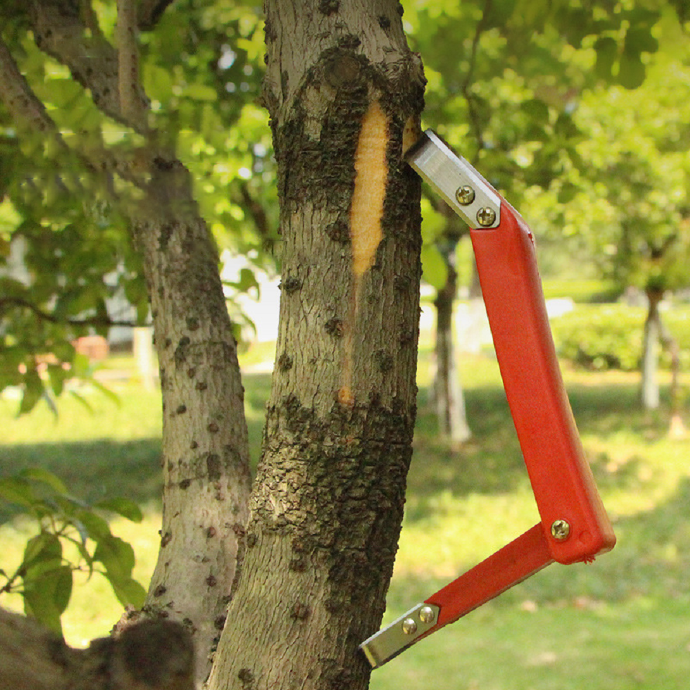 Fruit Tree Rot Scraping Bark K - đánh giá và giá Gardening Tools Knife